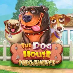 The Dog House Megaways gra w Hugo Casino dla graczy z Polski
