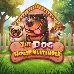 The Dog House Multihold gra w Hugo Casino dla graczy z Polski
